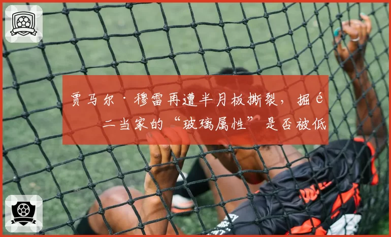 贾马尔·穆雷再遭半月板撕裂,掘金二当家的“玻璃属性”是否被低估?