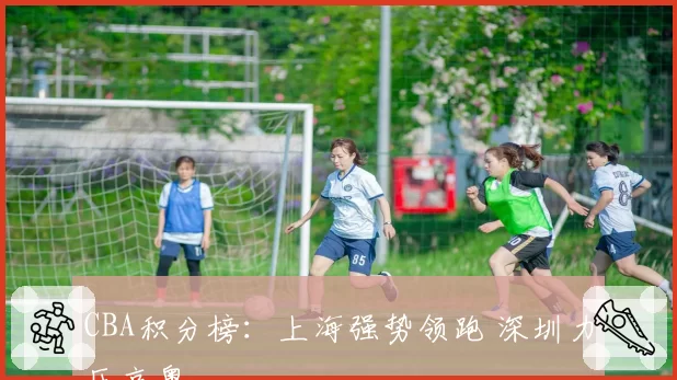 CBA积分榜：上海强势领跑 深圳力压京粤