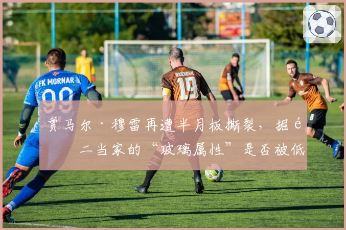 贾马尔·穆雷再遭半月板撕裂，掘金二当家的“玻璃属性”是否被低估？